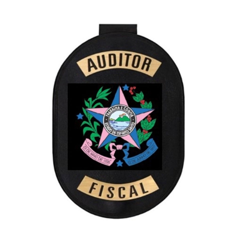 Distintivo -314distintivo